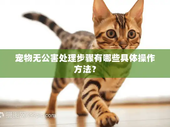 宠物无公害处理步骤有哪些具体操作方法？