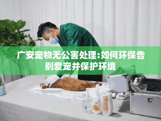 广安宠物无公害处理:如何环保告别爱宠并保护环境