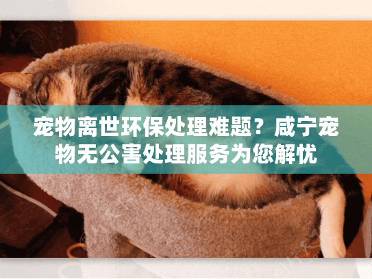 宠物离世环保处理难题？咸宁宠物无公害处理服务为您解忧