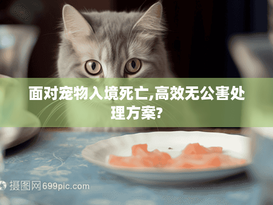 面对宠物入境死亡,高效无公害处理方案?