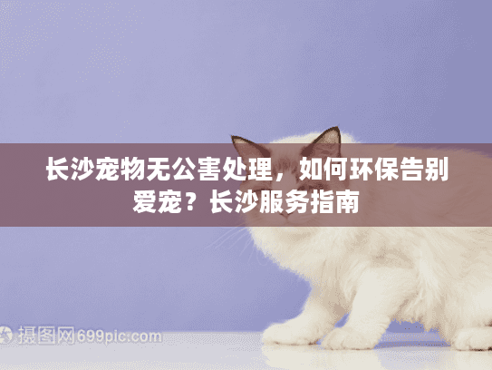 长沙宠物无公害处理，如何环保告别爱宠？长沙服务指南