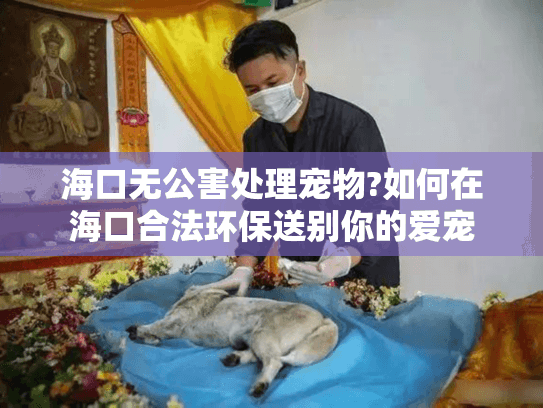 海口无公害处理宠物?如何在海口合法环保送别你的爱宠