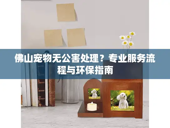 佛山宠物无公害处理?专业服务流程与环保指南 佛山宠物无公害处理?专业服务流程与环保指南
