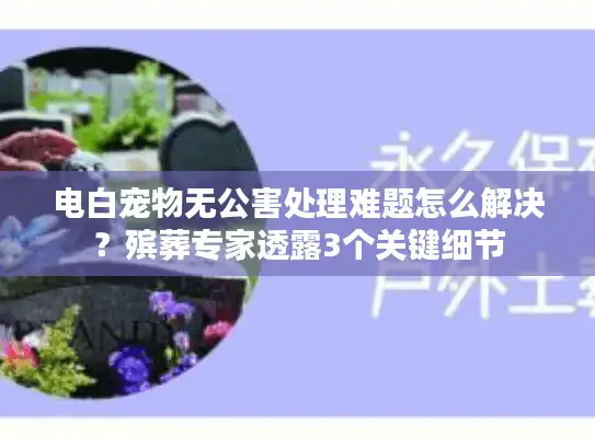 电白宠物无公害处理难题怎么解决？殡葬专家透露3个关键细节
