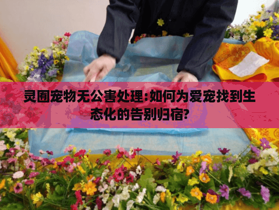 灵囿宠物无公害处理:如何为爱宠找到生态化的告别归宿?