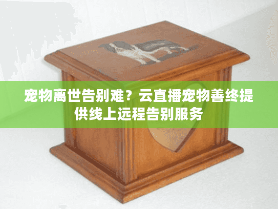 宠物离世告别难?云直播宠物善终提供线上远程告别服务 宠物离世告别难?云直播宠物善终提供线上远程告别服务