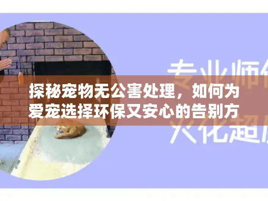 探秘宠物无公害处理，如何为爱宠选择环保又安心的告别方式？