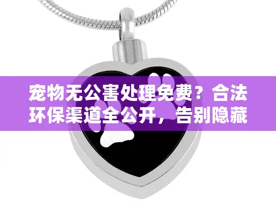 宠物无公害处理免费？合法环保渠道全公开，告别隐藏收费陷阱