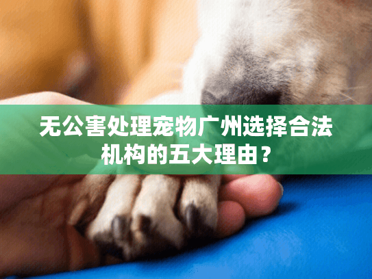 无公害处理宠物广州选择合法机构的五大理由？