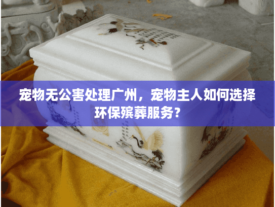 宠物无公害处理广州，宠物主人如何选择环保殡葬服务？