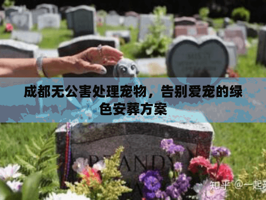 成都无公害处理宠物,告别爱宠的绿色安葬方案 成都无公害处理宠物,告别爱宠的绿色安葬方案