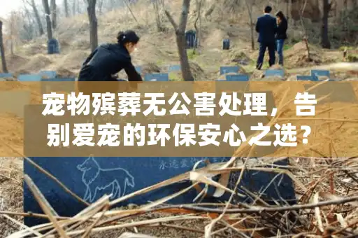 宠物殡葬无公害处理，告别爱宠的环保安心之选？