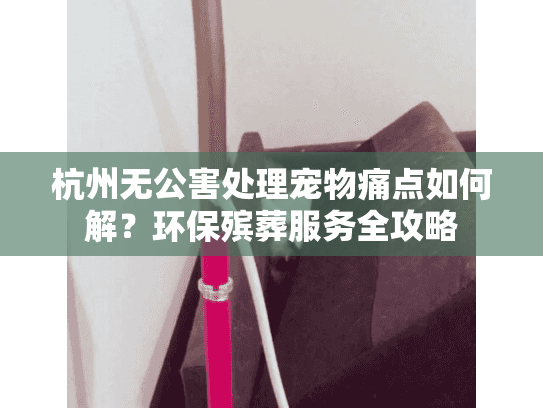杭州无公害处理宠物痛点如何解？环保殡葬服务全攻略