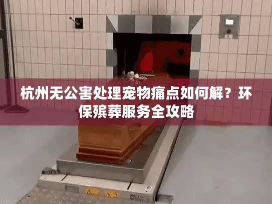 杭州无公害处理宠物痛点如何解？环保殡葬服务全攻略