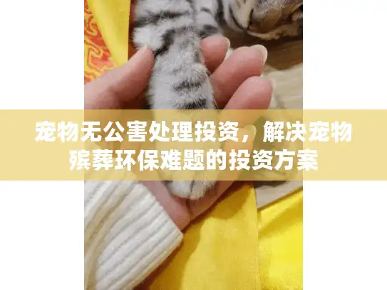 宠物无公害处理投资，解决宠物殡葬环保难题的投资方案