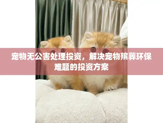 宠物无公害处理投资，解决宠物殡葬环保难题的投资方案