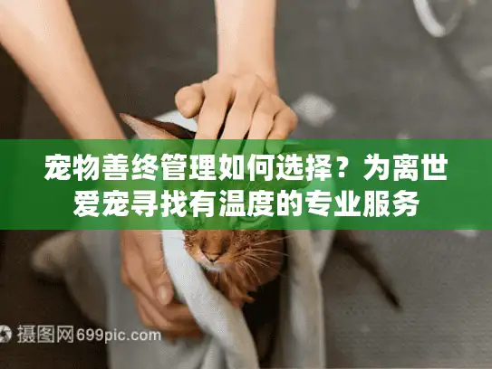 宠物善终管理如何选择？为离世爱宠寻找有温度的专业服务