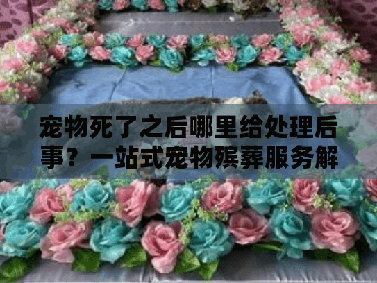 宠物死了之后哪里给处理后事？一站式宠物殡葬服务解决方案