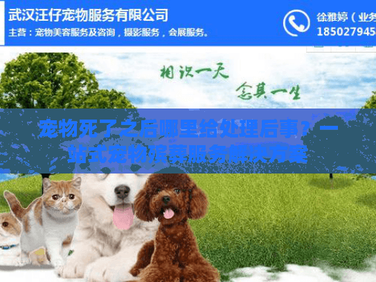 宠物死了之后哪里给处理后事？一站式宠物殡葬服务解决方案