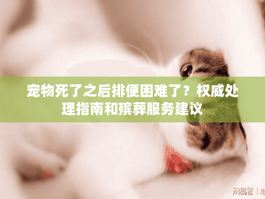 宠物死了之后排便困难了？权威处理指南和殡葬服务建议