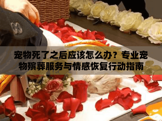 宠物死了之后应该怎么办？专业宠物殡葬服务与情感恢复行动指南
