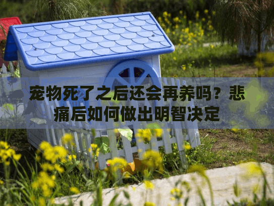 宠物死了之后还会再养吗？悲痛后如何做出明智决定