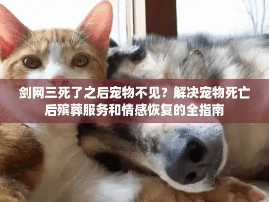 剑网三死了之后宠物不见？解决宠物死亡后殡葬服务和情感恢复的全指南