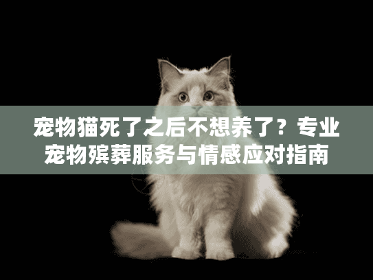 宠物猫死了之后不想养了?专业宠物殡葬服务与情感应对指南 宠物猫死了之后不想养了?专业宠物殡葬服务与情感应对指南