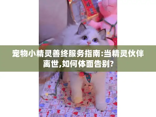 宠物小精灵善终服务指南:当精灵伙伴离世,如何体面告别?