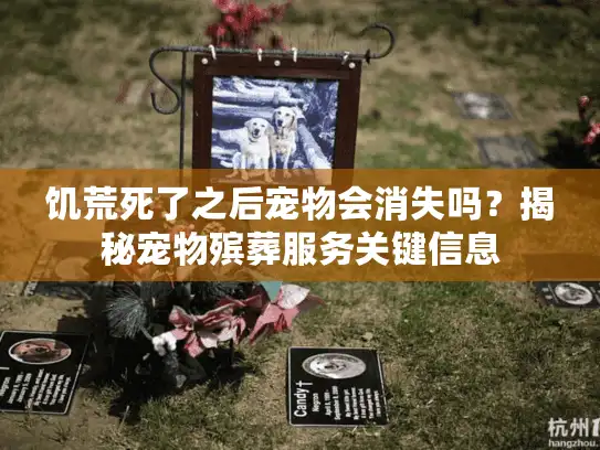 饥荒死了之后宠物会消失吗？揭秘宠物殡葬服务关键信息