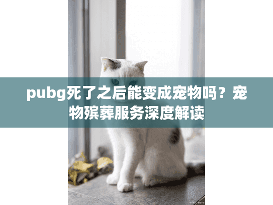 pubg死了之后能变成宠物吗？宠物殡葬服务深度解读