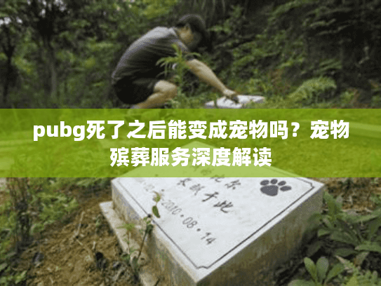 pubg死了之后能变成宠物吗？宠物殡葬服务深度解读