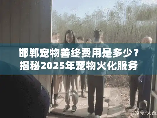 邯郸宠物善终费用是多少？揭秘2025年宠物火化服务价格和常见误区