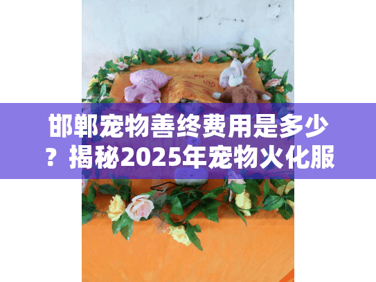 邯郸宠物善终费用是多少？揭秘2025年宠物火化服务价格和常见误区