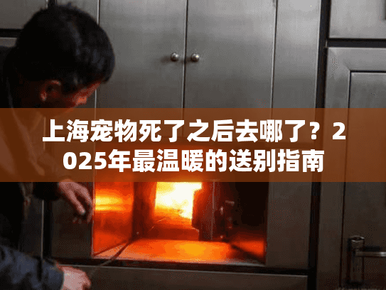 上海宠物死了之后去哪了？2025年最温暖的送别指南