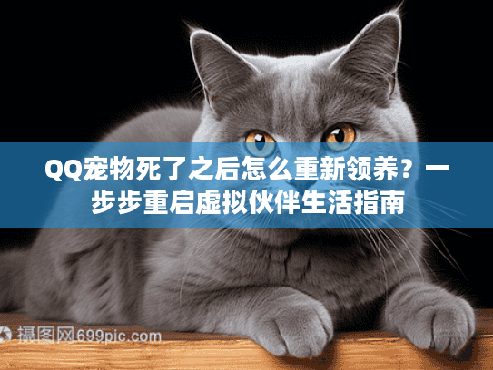 QQ宠物死了之后怎么重新领养？一步步重启虚拟伙伴生活指南