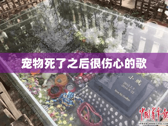 宠物死了之后很伤心的歌 宠物死了之后很伤心的歌