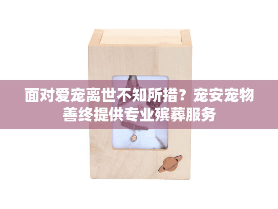 面对爱宠离世不知所措？宠安宠物善终提供专业殡葬服务