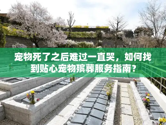宠物死了之后难过一直哭，如何找到贴心宠物殡葬服务指南？