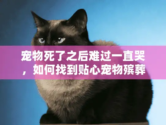宠物死了之后难过一直哭，如何找到贴心宠物殡葬服务指南？
