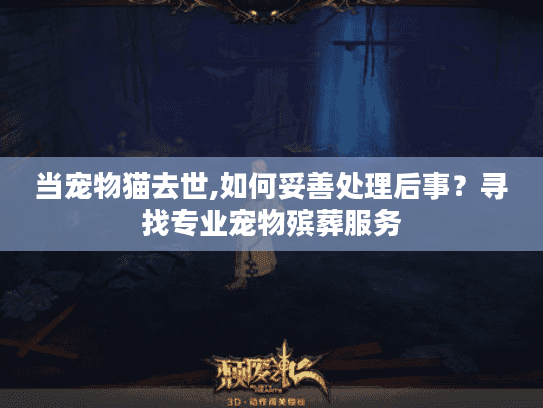 当宠物猫去世,如何妥善处理后事？寻找专业宠物殡葬服务