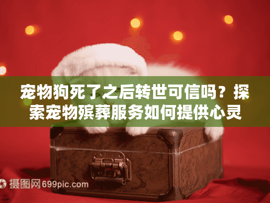 宠物狗死了之后转世可信吗?探索宠物殡葬服务如何提供心灵慰藉支持 宠物狗死了之后转世可信吗?探索宠物殡葬服务如何提供心灵慰藉支持