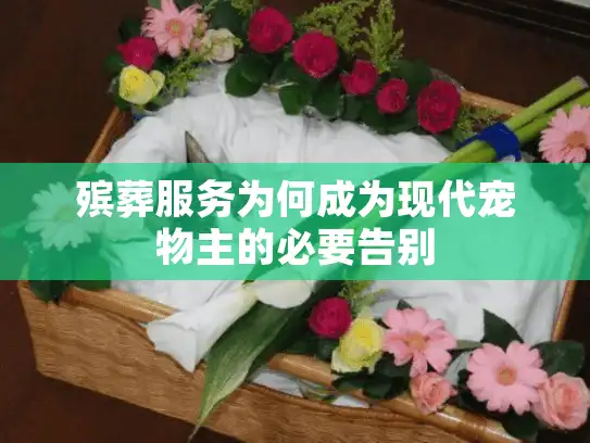 殡葬服务为何成为现代宠物主的必要告别
