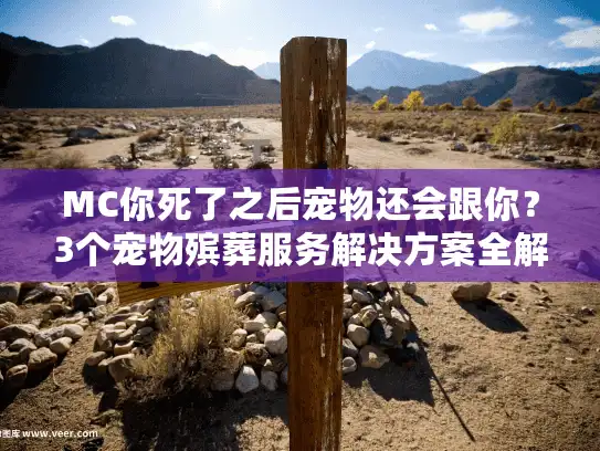 MC你死了之后宠物还会跟你？3个宠物殡葬服务解决方案全解析