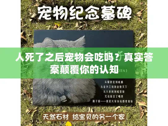 人死了之后宠物会吃吗?真实答案颠覆你的认知 人死了之后宠物会吃吗?真实答案颠覆你的认知