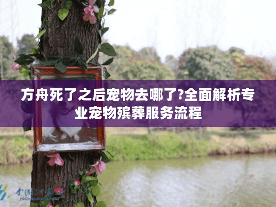 方舟死了之后宠物去哪了?全面解析专业宠物殡葬服务流程 方舟死了之后宠物去哪了?全面解析专业宠物殡葬服务流程