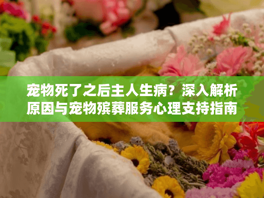 宠物死了之后主人生病？深入解析原因与宠物殡葬服务心理支持指南
