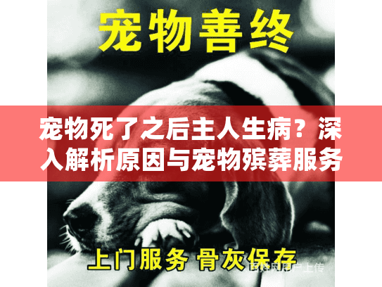 宠物死了之后主人生病？深入解析原因与宠物殡葬服务心理支持指南