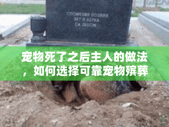 宠物死了之后主人的做法，如何选择可靠宠物殡葬服务？