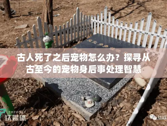 古人死了之后宠物怎么办？探寻从古至今的宠物身后事处理智慧